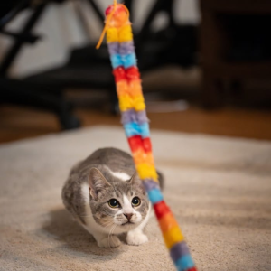 https://shops.plus/wp-content/uploads/2025/09/purrfect-demo-image-00006-300x300.webp